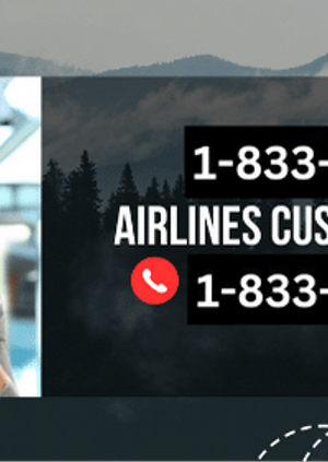 Ways to Connect United Airlines Customer Service: By Phone and Email | A Detailed Guide
