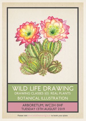Wild Life Drawing: Botanical Illustration