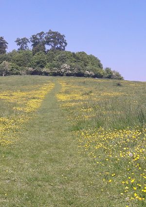 Talk and Tour: Paul Nash’s Wittenham Clumps 