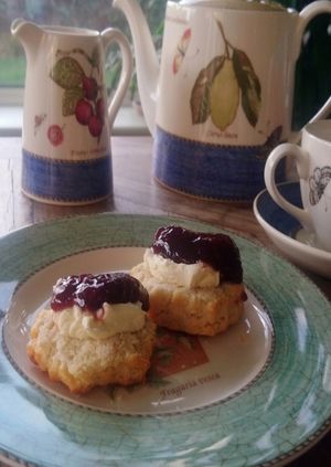 Ealing Liberal Democrats Afternoon Tea