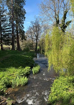 Friends' exclusive summer visit to the Albury Estate