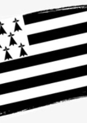 Breton Fest-Deiz, dance and music party