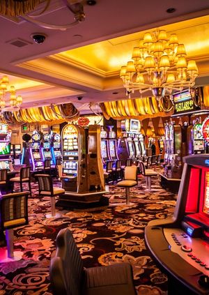 How to choose the best online casino in NZD: instruction?