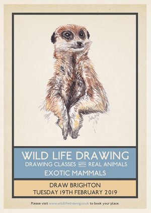 Wild Life Drawing: Exotic Mammals