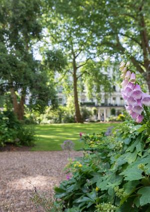 Open Garden Squares Weekend 2019 