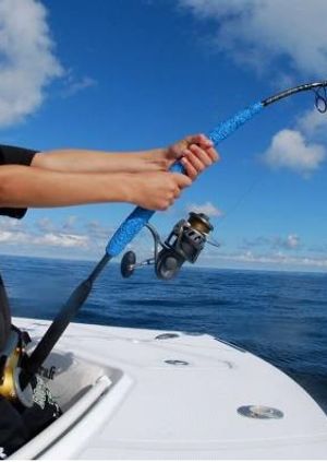 Coastal fishing trip / Viaje de pesca costera