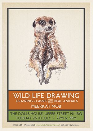 Wild Life Drawing: Meerkat Mob