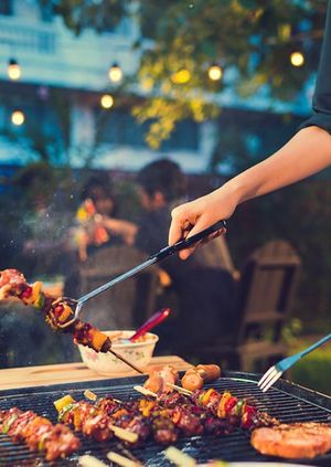 Social Liberal Forum BBQ - St Albans