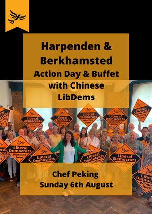 Harpenden Action Day and Buffet Lunch with Chinese Lib Dems