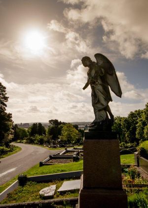 Belfast City Cemetery for EHOD 2024