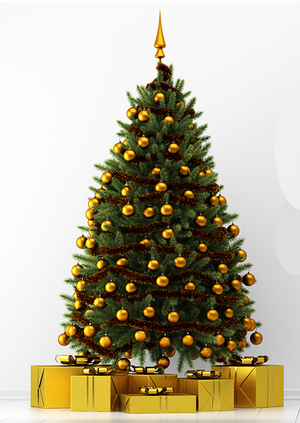 Bromley Lib Dems Christmas Party