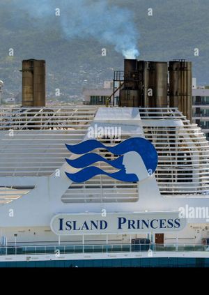 5 Easy Ways to Contact Princess Cruise cancellation by Phone, Email & Chat: A Complete Guide