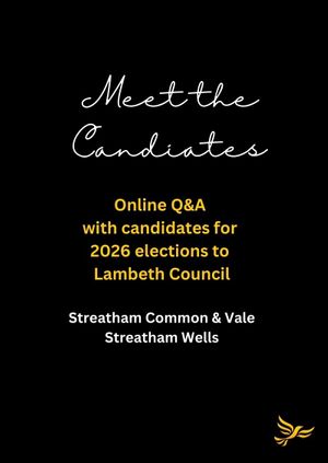 Meet the Candidates: Online Q&A (SCV & SWE)