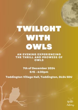 Twilight With Owls