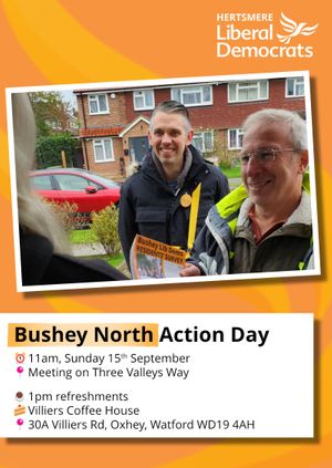 Bushey North Action Day