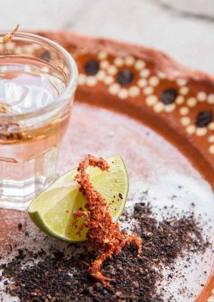 Summer of Mexico: Insect, Tequila & Mezcal Tasting