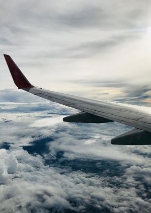 12 Ways To Connect Southwest Airlines Customer Service By Phone, Chat and Email Options: A Complete Full Guide