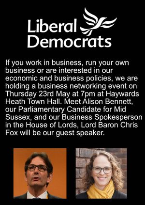 Mid Sussex Liberal Democrats Business Networking Event