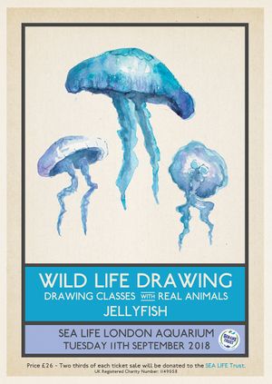 Wild Life Drawing: Jellyfish in Watercolour