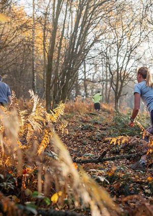 TRIBE Force Of Nature: Hampstead Heath Trail Run