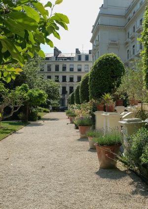 London Open Gardens 2024