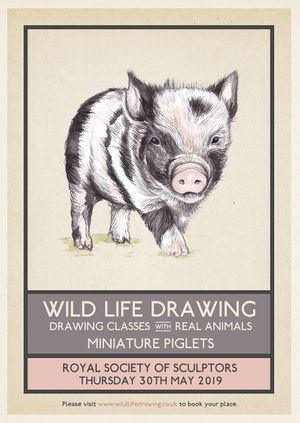 Wild Life Drawing: Miniature Piglets