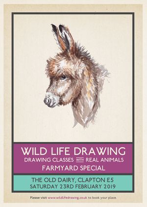 Wild Life Drawing: Farmyard Special