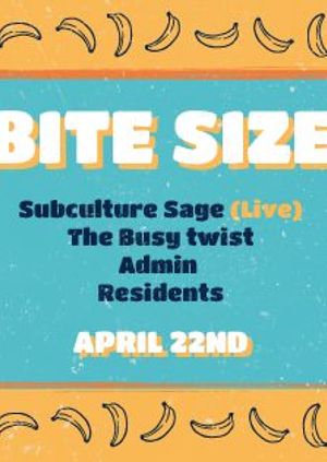 Bitesize 3 - BANANARAMA