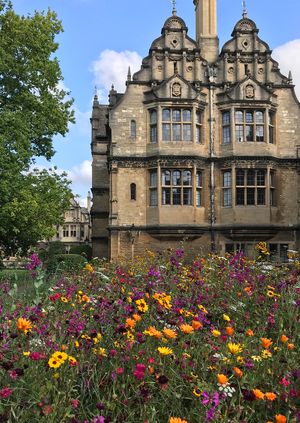 Visit to Trinity College Gardens 