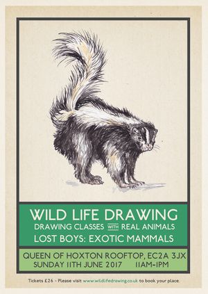 Wild Life Drawing: Exotic Mammals