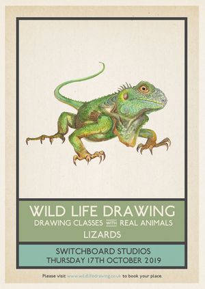 Wild Life Drawing: Lizards