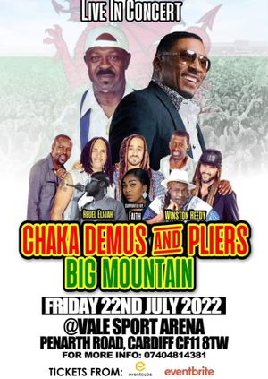 Chaka Demus & Pliers & Big Mountain Live