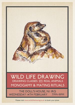 Wild Life Drawing: Monogamy & Mating Rituals
