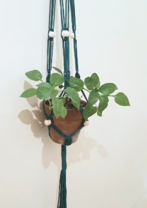 CANCELLED - Make a Macrame Plant Hanger