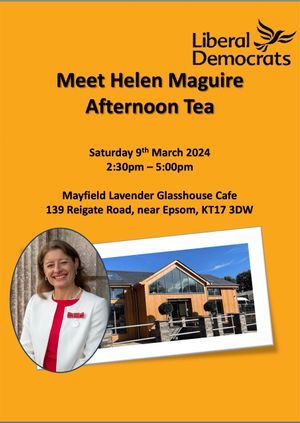 Meet Helen Maguire - Afternoon Tea