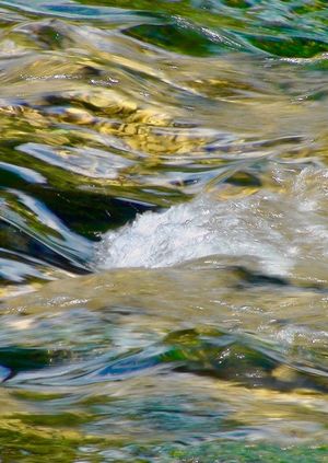 Visit: The Mill House, Bindon