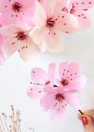 Paper Cherry Blossom Workshop