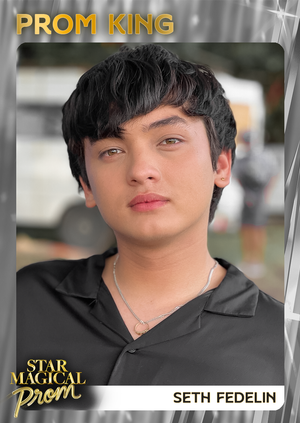 Mr. SETH FEDELIN