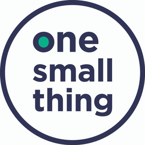 One Small Thing