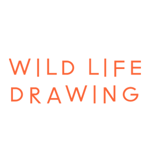 Wild Life Drawing
