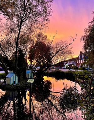 CV-Cipp pond_evening pond