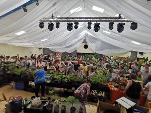 76ff1a3a-1ed6-427a-94e7-d117bd7f90b6