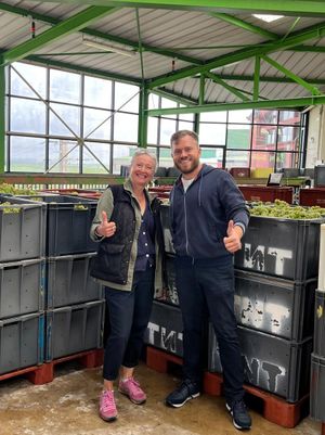 WhatsApp Image 2026-02-19 at 15.20.22